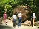 Humboldt Redwoods State Park (الولايات_المتحدة)